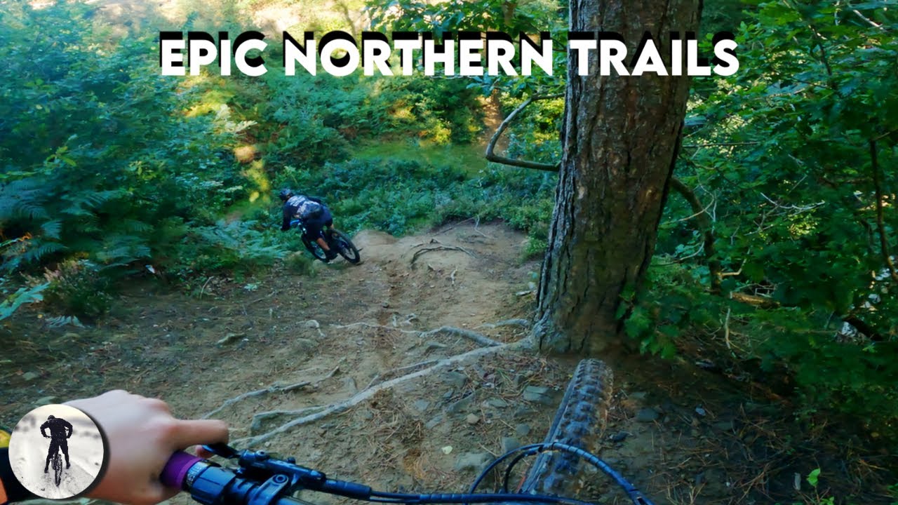 Wharncliffe Woods MTB: Rocky & Flowy Trails