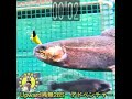 研究では0.1～0.2秒が80％もしこの動画でアワセるには、フックを加えてから0.2～0.4秒ぐらいでテンション掛かないとね・・・と？なると釣り人は何時行動を起こすことになるのか？