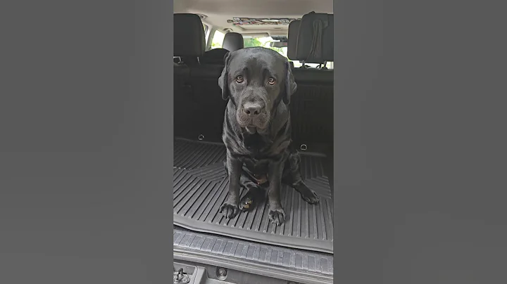 LASFIT Floor liners for the 4runner! For half the price of weathertech you get way more coverage.
