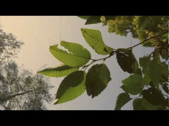 Παρακολούθηση 松浦洋介　愛のカタチ στο YouTube