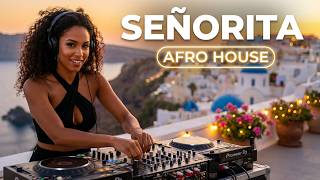 🔥 Shawn Mendes & Camila Cabello – Señorita (Afro House Remix) | Summer Vibes 2026