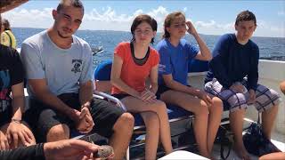 Bay Scallop Dissection - Crystal River, FL