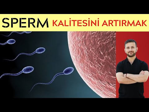 Sperm Kalitesini ve Sperm Sayısını Artırmak