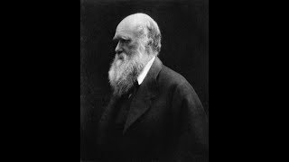 Charles Darwin and Nomological Networks of Cumulative Evidence (THE SAAD TRUTH_845)