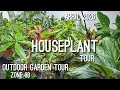 April 2026 Houseplant Tour + Texas Outdoor Garden Tour | Zone 8b/9a Plant Update