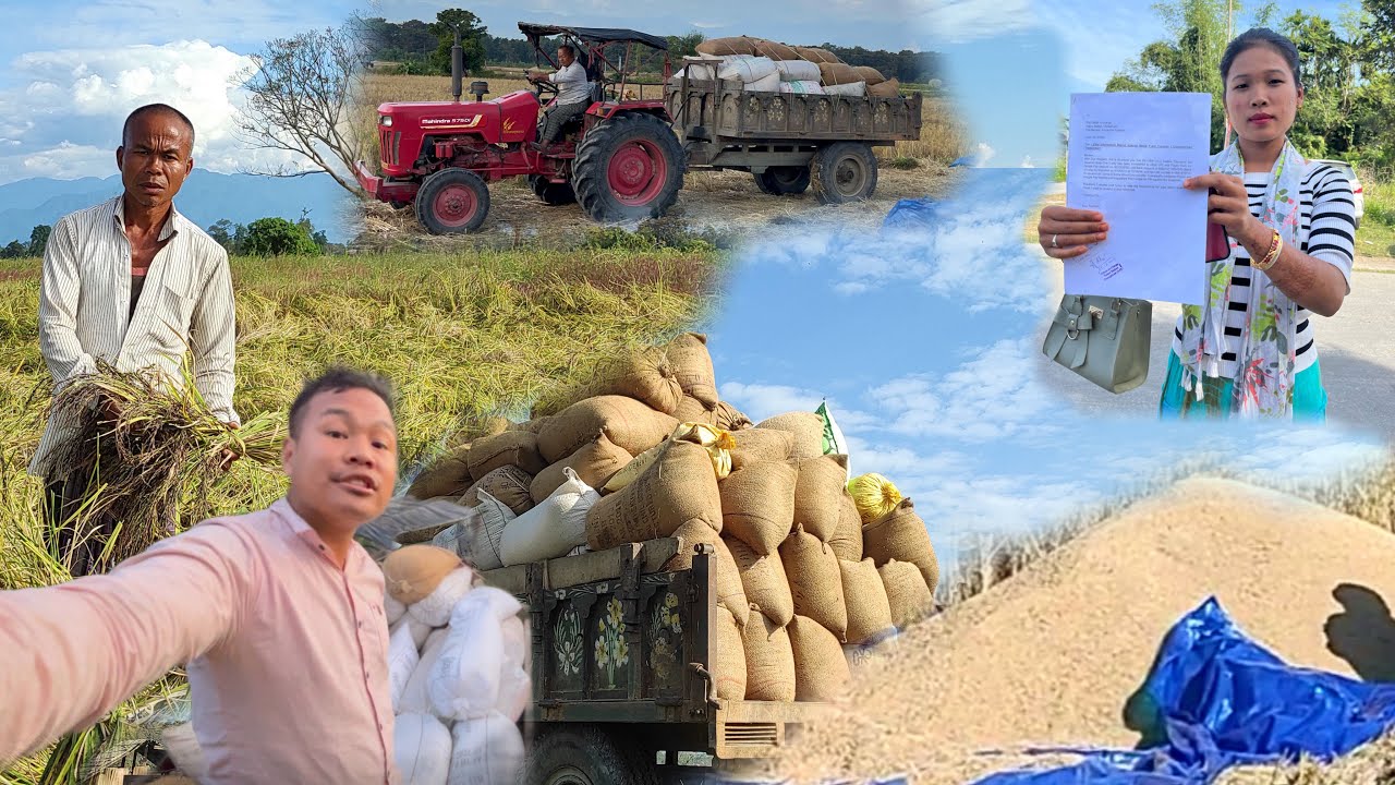 finally-paddy-ka-kaam-complete-hua-huge-loss-in-farming-my-dad-is