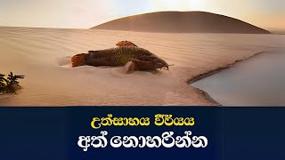 💗💗උත්සාහය වීර්යය අත් නොහරින්න💗💗 | Sinhala Short Movie