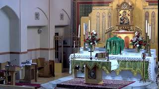 Thursday Mass / 14th Week Of Ordinary Time