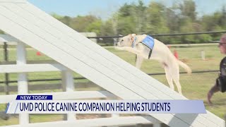 UMD police K-9 companion helping students
UMD police K-9 companion helping students UMD police K-9 companion helping students