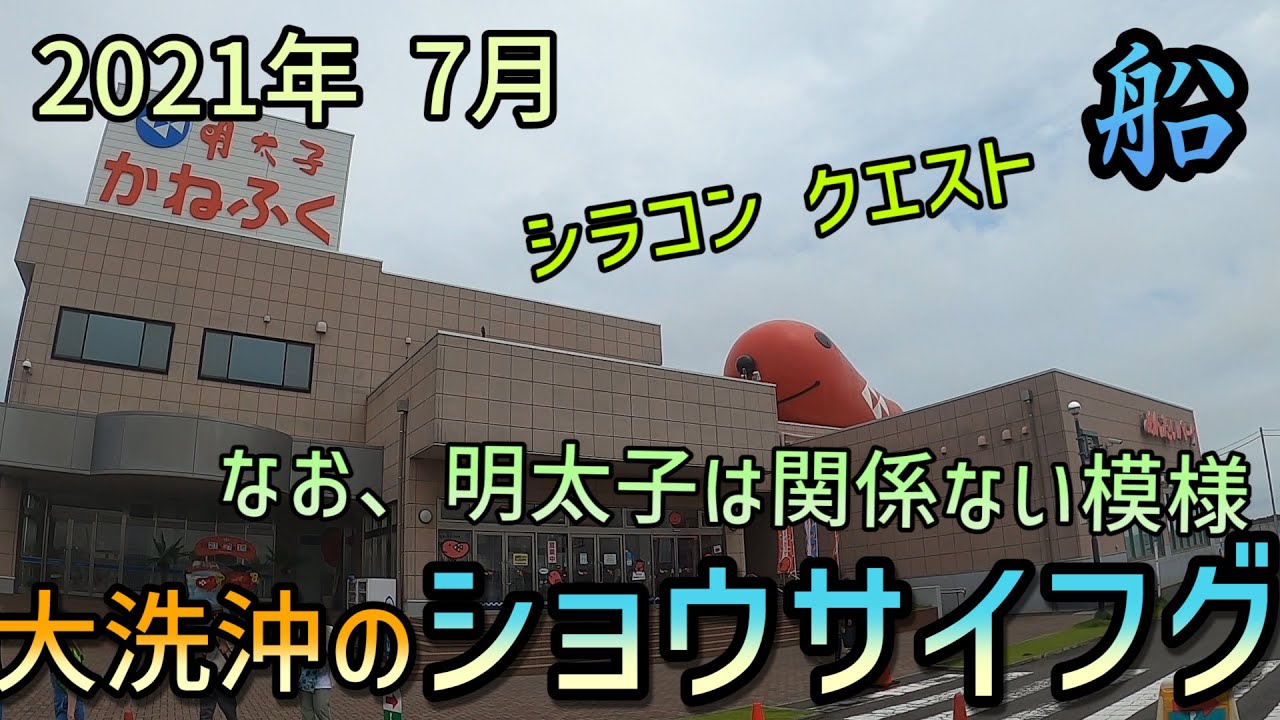 船釣りフグ 7月 白子入りショウサイフグをゲットだぜ Youtube