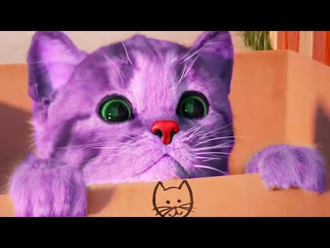 Video: Cat Language 101: Hur Pratar Katter Med Varandra?