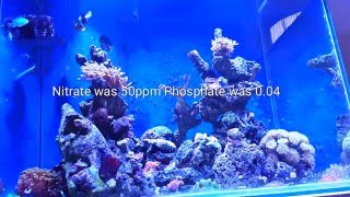 Quick vid Ep 4:  5 weeks into Nopox dosing