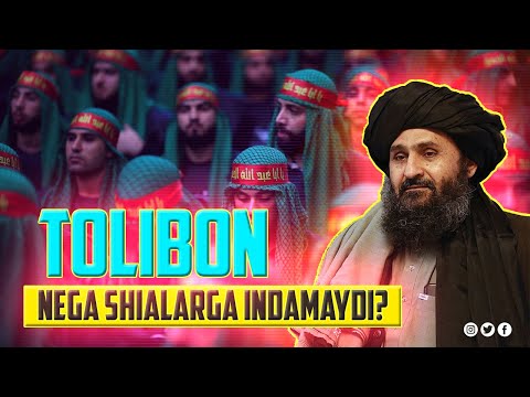 Tolibon nega shialarga indamaydi? | Ustoz Abdulloh Zufar