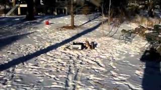 hp printer explodes