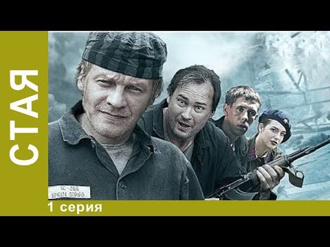 Стая – Эротические Сцены