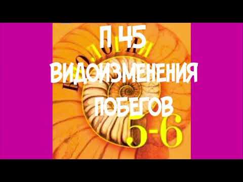 БИОЛОГИЯ 5-6 КЛАСС П 45 ВИДОИЗМЕНЕНИЯ ПОБЕГОВ / КЛУБНИ / ЛУКОВИЦА / ДОНЦЕ /