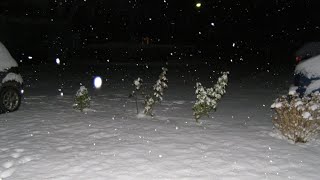 10 Hours of Snowing at Night [Sleep Aid, Relaxing, White Noise]