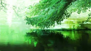 いきのこり●ぼくら (Ikinokori Bokura) -- Ichiko Aoba (romaji)