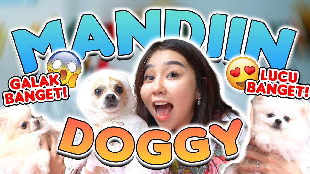 KESERUAN MANDIIN DOGGY AKU!! DIGIGIT !!