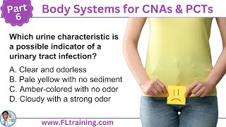 Body Systems for CNAs & PCTs: Understanding the Urinary System