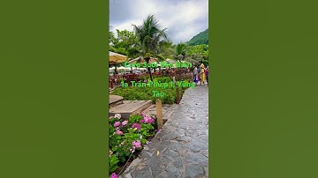 Cafe Suối Bên Biển Vũng Tàu