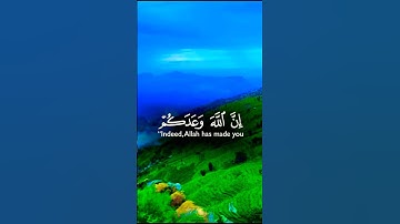 تلاوة خاشعة قرأن كريم راحة نفسية بصوت جميل يريح الأعصاب #تلاوة #elmulquranعلم #اكسبلور #المصحف