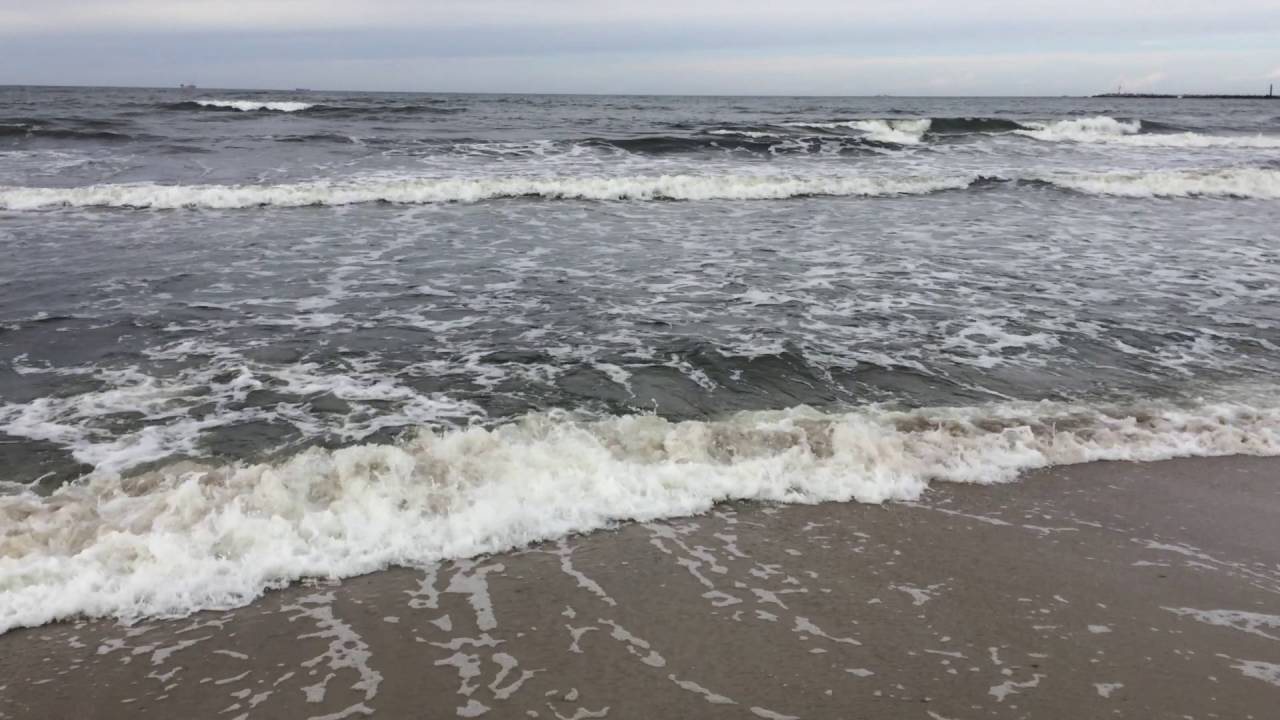 2016-10-01 Балтийская коса, Калининградская область.