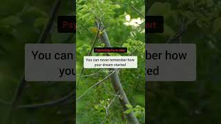 Interesting Psychology Facts About Humans