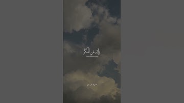 اسلام صبحي | يَا بُنَيَّ أَقِمِ الصَّلَاةَ وَأْمُرْ بِالْمَعْرُوفِ..... سورة لقمان