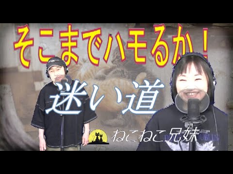 迷い道_ねこねこ兄妹　season3-06