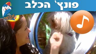 Video thumbnail of "פונץ' הכלב -  ילדות ישראלית"
