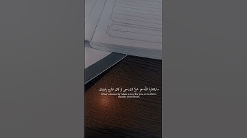 #اكسبلور #المصحف #لايك #الرحمن #راحة_نفسية #قرآن #تصويري #الاردن #سورة_يس