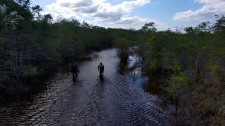 Everglades adventure - riding into water and bushwhacking