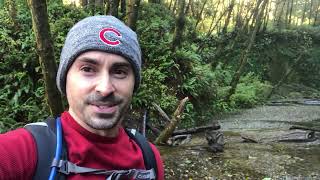 Start of Fern Canyon Trail - Hike #371: Fern Canyon #hikingtheglobe #californiahike
