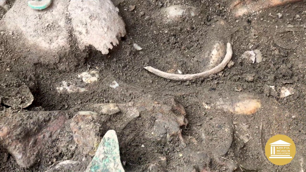 Bronzkori tömegsír a Tiszafüreden | A Kiss Pál Múzeum régészeti feltárása | 2. rész