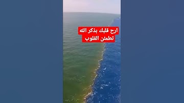 ارح سمعك.. تلاوة هادئة تريح القلب والعقل💙🎧 | سورة الرحمن القارئ حسام الدين عبادي #قران_كريم #اكسبلور