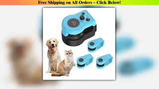 Interactive cat and dog chase toy, USB charging automatic bait, used for pet exercise and