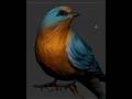bird sculpt speed#3dsculpting #digitalart #speedsculpt #speedpaint #art #digitalartist #zbrush