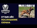 Видео-Отзыв об обучении послушанию и охране бельгийской овчарки малинуа в школе для собак DRED