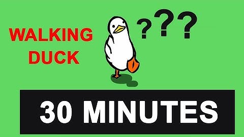 Duck Goes For A Walk 30 Minutes - Countdown Timer 1 hour  - walking duck - đồng hồ đếm ngược