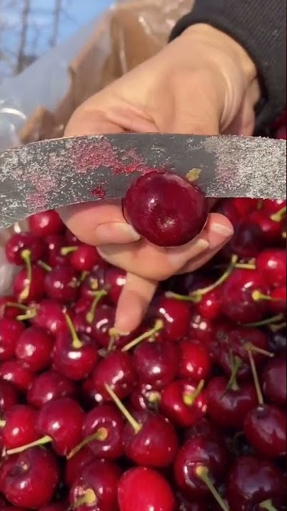 🍒 How To Cut Cherry 🍒  | Fresh Fruit Cutting In My Farm