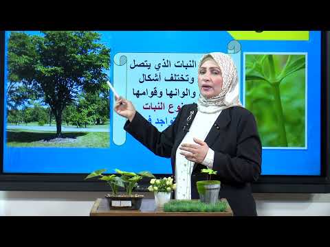 العلوم - الرابع الابتدائي - الوحدة الاولى - النباتات المركبة , الجزء الثاني