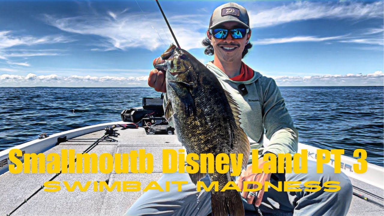 Smallmouth Disney Land PT 3 Swimbait Madness (Mille Lacs Lake MN)