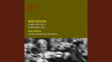 Symphony No. 4 in B-flat major, Op. 60: I. Adagio - Allegro vivace