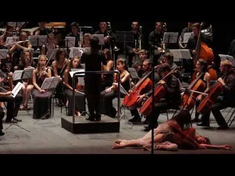 Vídeo: Quins Instruments S’inclouen A L’orquestra