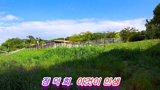 가수 정덕희. 이것이 인생 [원곡] 이애란. 월남전 참…