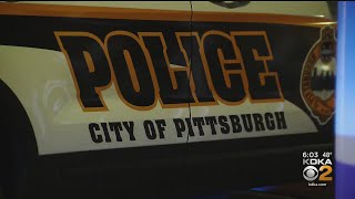Pittsburgh Police Officer Says Colleague Sexually Assaulted Her In Her Home