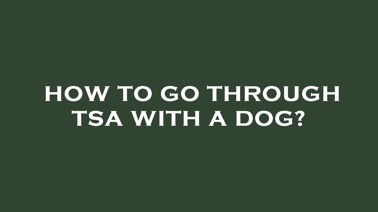 how-to-go-through-tsa-with-a-dog-youtube