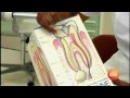 New Life, Dental treatment and producers