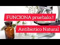 Antibiótico natural. Como hacer una antibiótico natural.